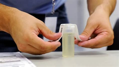 hide urine for drug test kit